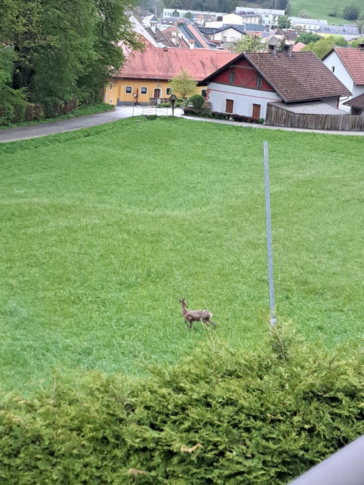 Apartament Haus Am Schloss Bleiburg Zewnętrze zdjęcie